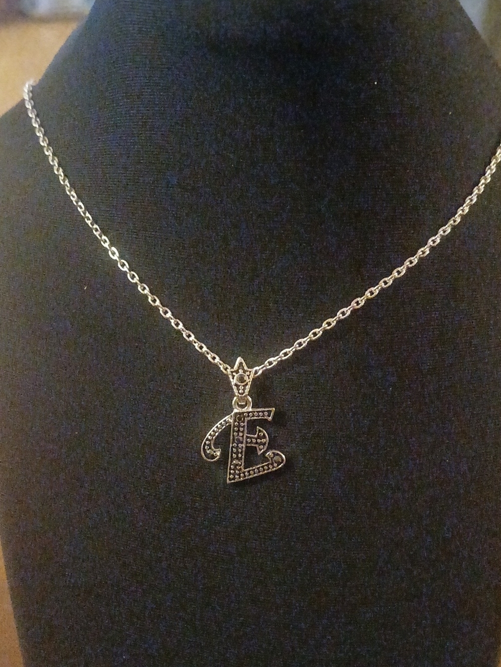 Initial 'E' Letter Pendant 18" Necklace - Silver Tone